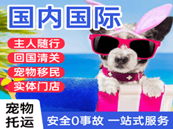兴东机场快递国际宠物托运 【国